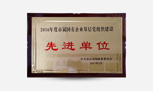 2016年度市屬國有企業(yè)基層黨組織建設先進單位