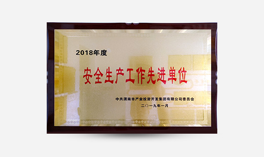 2018年度安全生產工作先進單位