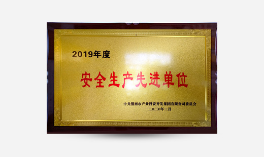 2019年度安全生產先進單位