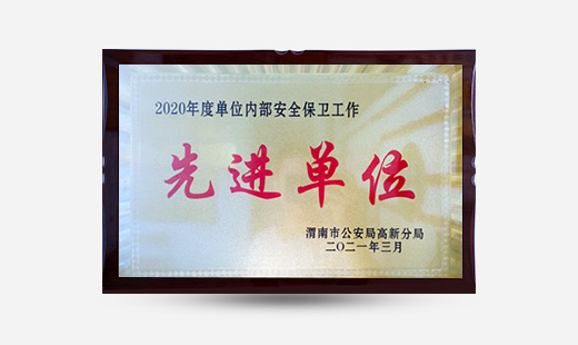 2020年度單位內部安全保衛(wèi)工作先進單位