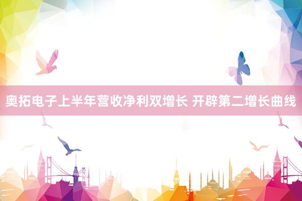 奥拓电子上半年营收净利双增长 开辟第二增长曲线