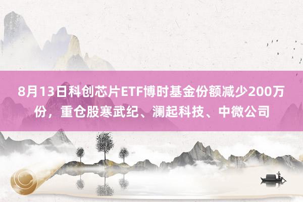 8月13日科创芯片ETF博时基金份额减少200万份，重仓股寒武纪、澜起科技、中微公司