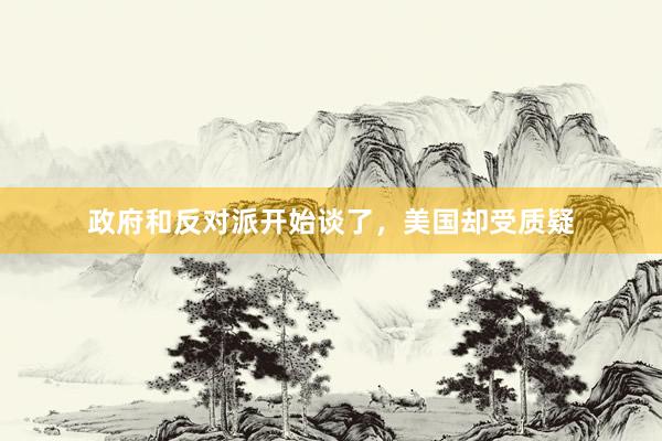 政府和反对派开始谈了，美国却受质疑