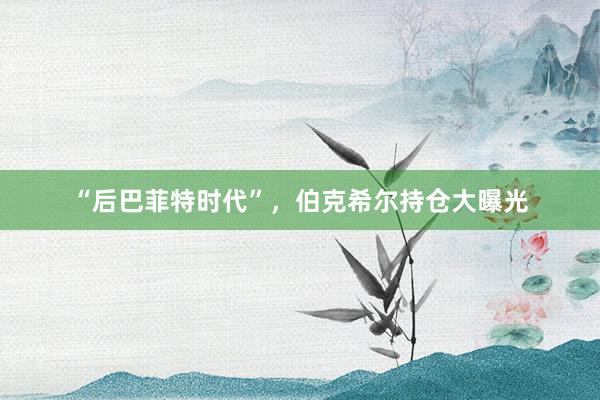 “后巴菲特时代”，伯克希尔持仓大曝光
