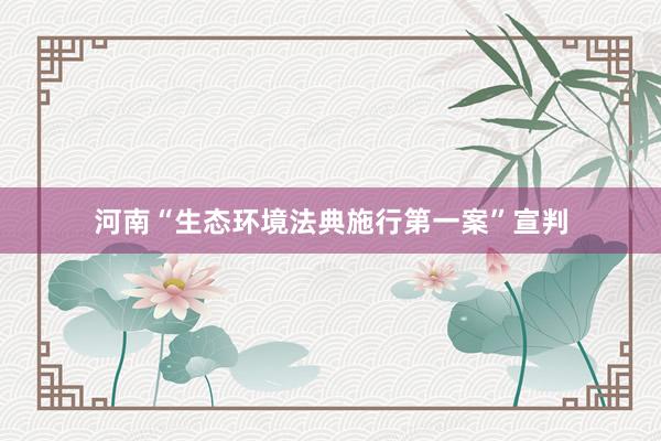 河南“生态环境法典施行第一案”宣判