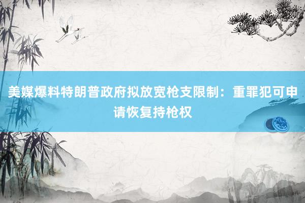 美媒爆料特朗普政府拟放宽枪支限制：重罪犯可申请恢复持枪权