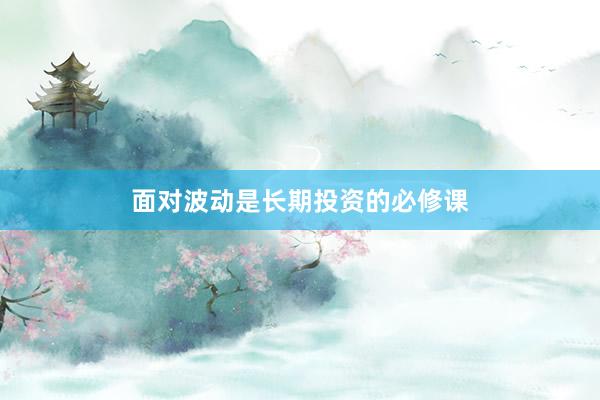 面对波动是长期投资的必修课