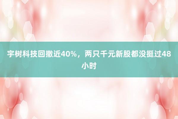 宇树科技回撤近40%，两只千元新股都没挺过48小时