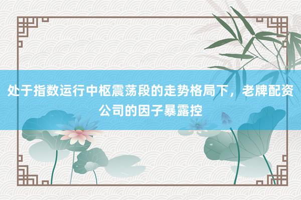 处于指数运行中枢震荡段的走势格局下，老牌配资公司的因子暴露控