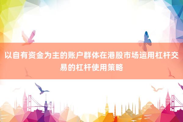 以自有资金为主的账户群体在港股市场运用杠杆交易的杠杆使用策略