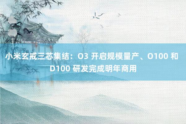 小米玄戒三芯集结：O3 开启规模量产、O100 和 D100 研发完成明年商用