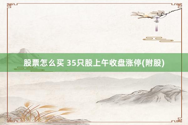 股票怎么买 35只股上午收盘涨停(附股)