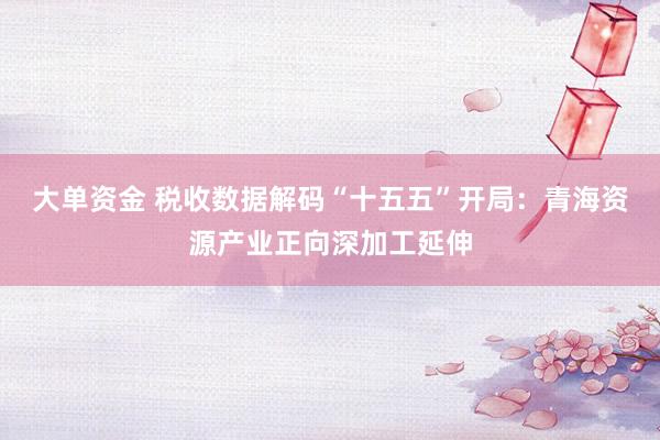 大单资金 税收数据解码“十五五”开局：青海资源产业正向深加工延伸