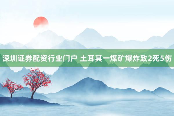 深圳证券配资行业门户 土耳其一煤矿爆炸致2死5伤
